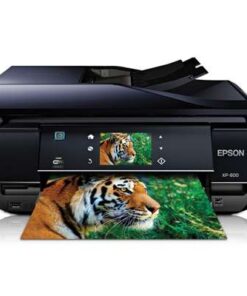 &nbsp;Expression Premium XP-800